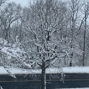 Meet your Posher, Angelica